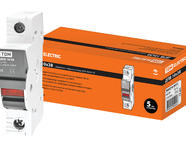 Держатель плавких вставок ДПВ 10х38 1П TDM